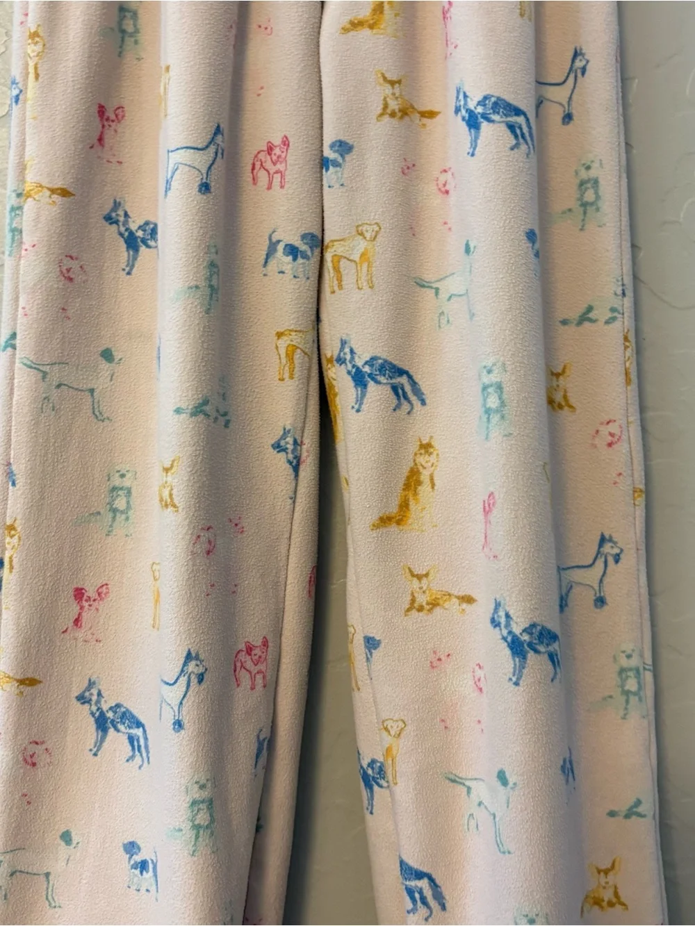 SweetHoney multicolored dog